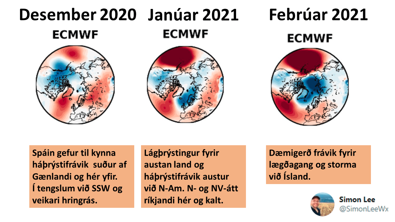 VETRARSPÁIN DES 2020 -FEB2021