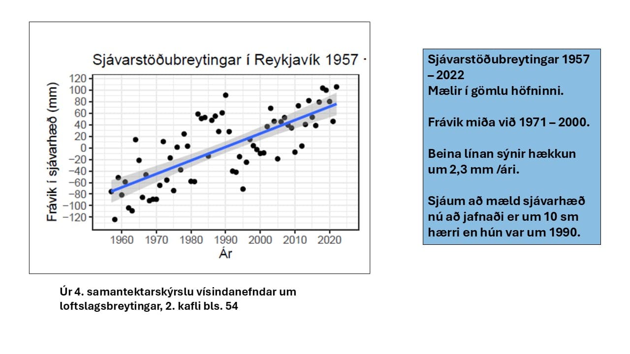 MEIRA AF SJÁVARHÆÐINNI