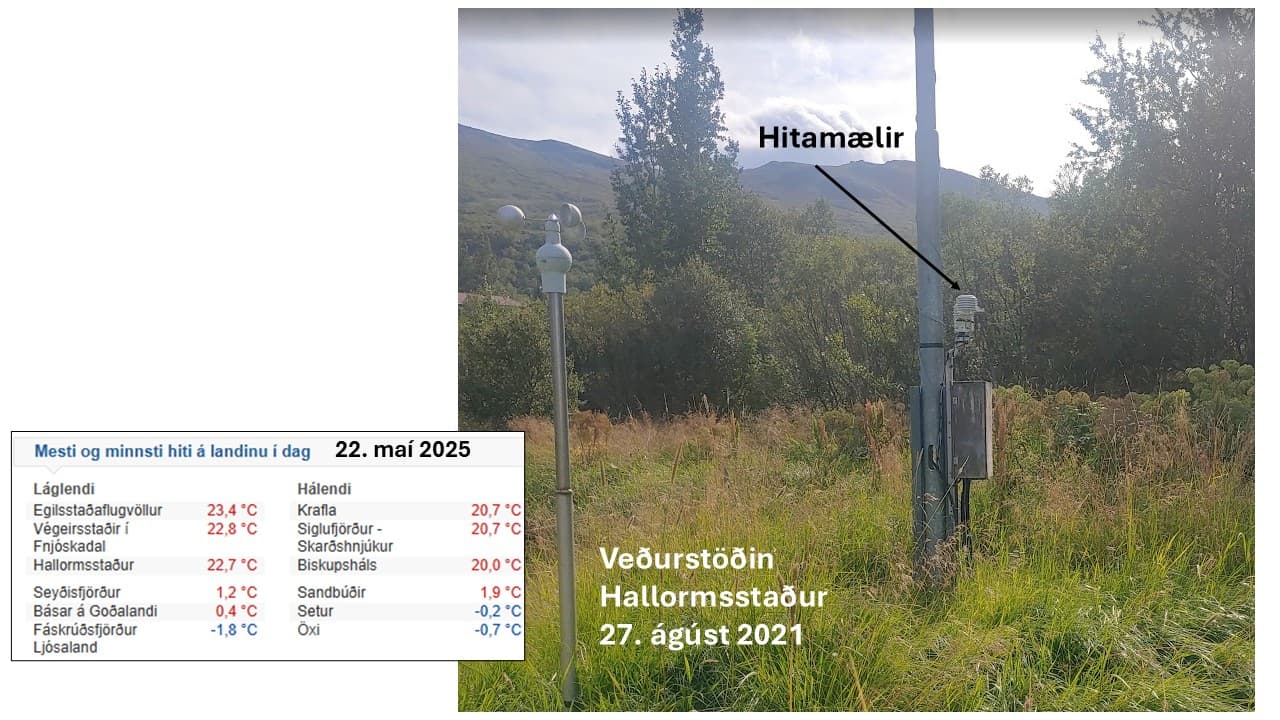 VEÐURSTÖÐVAR SEM SOKKNAR ERU Í SKÓG